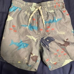 Toddler boys size 3 bathing suit bottoms
